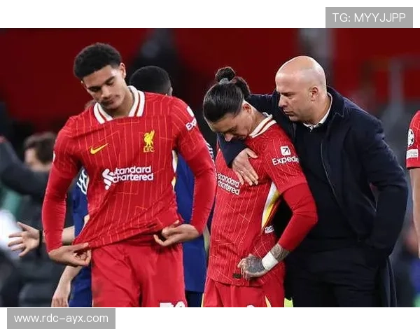 范戴克与科纳特携手防线，利物浦后防再添坚固壁垒