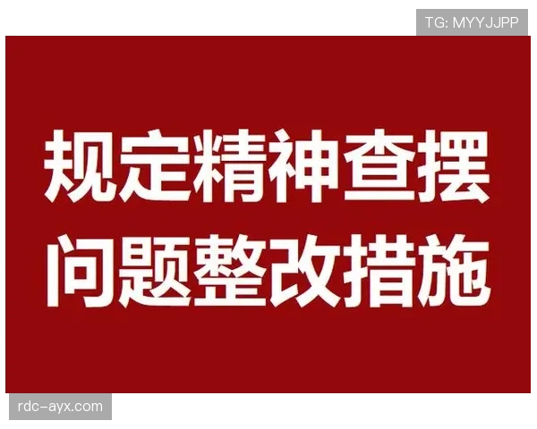 帕利尼亚与赖斯覆盖能力及全面性对比分析