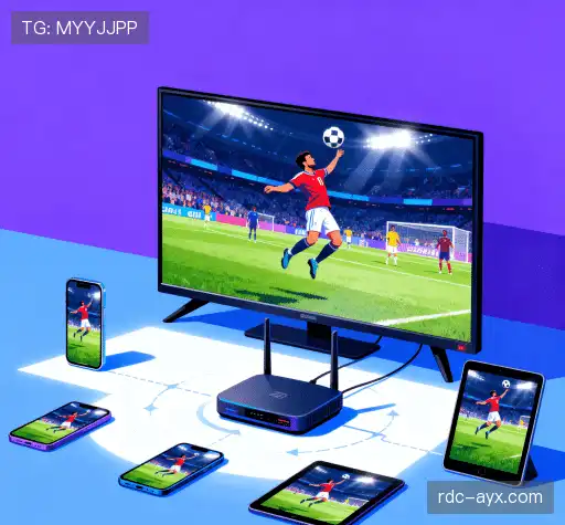 我们的核心价值主张